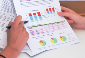 example report